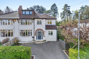 Photo 49- click for photo gallery